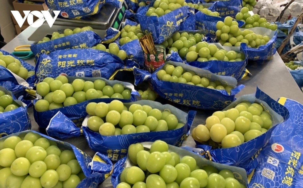 Bất ngờ với loại hoa quả “quý tộc” giá rẻ hơn khoai lang